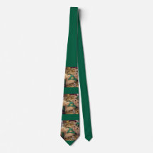 St. Patricks Day Leprechaun Katze