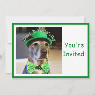 St Patrick's Day Lucky Dog Einladung