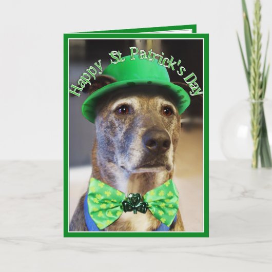St Patrick's Day Lucky Dog Karte (Vorderseite)