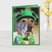 St Patrick's Day Lucky Dog Karte (Gelbe Blume)