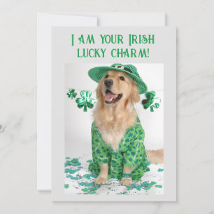 St. Patrick's Day Lustige Personalisierbare Hund K Feiertagskarte