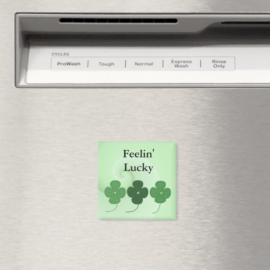 St. Patrick's Day Magnet (In Situ (Geschirrspüler))