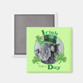 St. Patrick's Day Miniatur Poodle Magnet (Vorderseite/Rückseite)