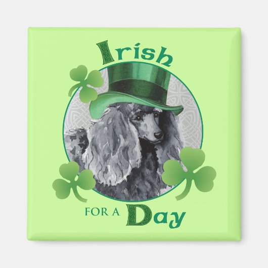 St. Patrick's Day Miniatur Poodle Magnet (Vorne)