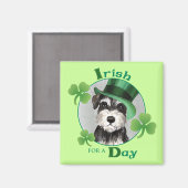 St. Patrick's Day Miniatur Schnauzer Magnet (Vorderseite/Rückseite)