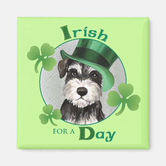 St. Patrick's Day Miniatur Schnauzer Magnet (Vorne)