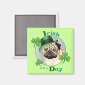 St. Patrick's Day Mops Magnet (Vorderseite/Rückseite)