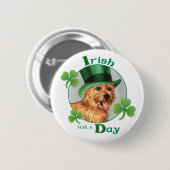 St. Patrick's Day Norwich Terrier Button (Vorne & Hinten)