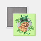 St. Patrick's Day Norwich Terrier Magnet (Vorderseite/Rückseite)