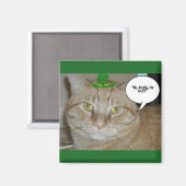 St Patricks Day Orange Tabby Cat Magnet (Vorderseite/Rückseite)
