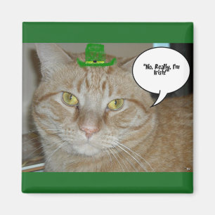 St Patricks Day Orange Tabby Cat Magnet
