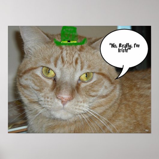 St. Patrick's Day Orange Tabby Cat Poster (Vorne)