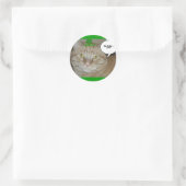 St. Patrick's Day Orange Tabby Cat Runder Aufkleber (Tasche)