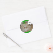 St. Patrick's Day Orange Tabby Cat Runder Aufkleber (Umschlag)