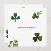 ST PATRICK'S DAY PARTY Kleeblatt weiß grün Einladung (Vorne/Hinten)