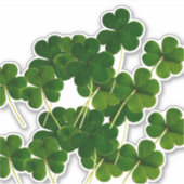 St Patrick's Day Party Shamrock Leaf Green 2020 Aufkleber (Vorderseite)