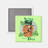 St. Patrick's Day Poodle Magnet (Vorderseite/Rückseite)