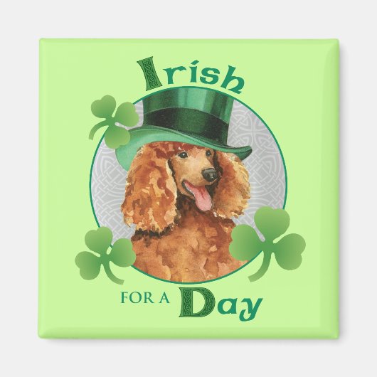 St. Patrick's Day Poodle Magnet (Vorne)