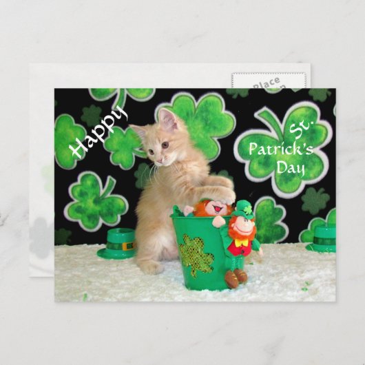 St. Patrick's Day Postcard in Buffington - Katze Postkarte (Vorne/Hinten)