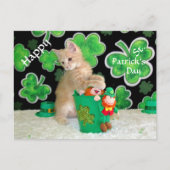 St. Patrick's Day Postcard in Buffington - Katze Postkarte (Vorderseite)