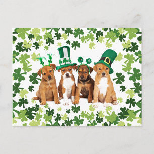 St. Patrick's Day Postkarte