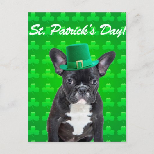 St. Patrick's Day Postkarte (Vorderseite)