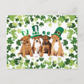 St. Patrick's Day Postkarte (Vorderseite)