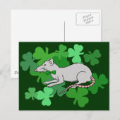 St. Patrick's Day Rat Postkarte (Vorne/Hinten)