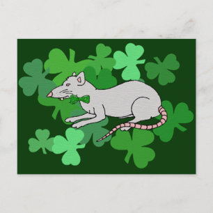 St. Patrick's Day Rat Postkarte