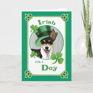 St. Patrick's Day Rat Terrier Karte