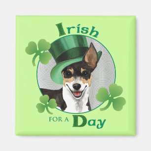St. Patrick's Day Rat Terrier Magnet