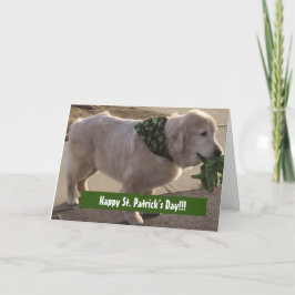 St. Patrick's Day Segen - Karte