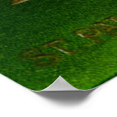 St. Patrick's Day Souvenir Poster (Ecke)