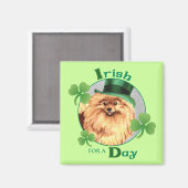 St. Patrick's Day Spitz Magnet (Vorderseite/Rückseite)