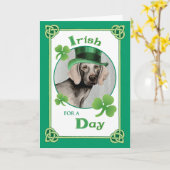 St. Patrick's Day Weimaraner Karte (Gelbe Blume)