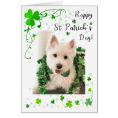 St. Patrick's Day West Highland Terrier (Vorne)