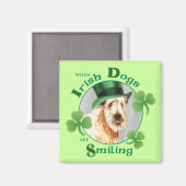 St. Patrick's Day Wheaten Terrier Magnet (Vorderseite/Rückseite)