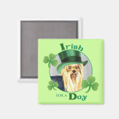 St. Patrick's Day Yorkie Magnet (Vorderseite/Rückseite)