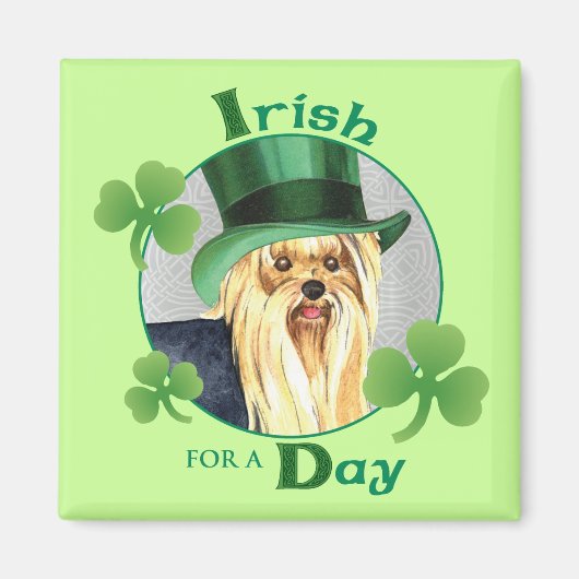 St. Patrick's Day Yorkie Magnet (Vorne)