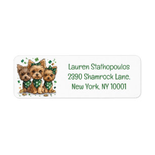 St. Patrick's Day Yorkshire Terrier Dogs