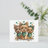 St. Patrick's Day Yorkshire Terrier Dogs Postkarte (Stehend Vorderseite)