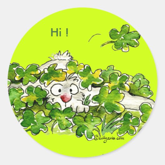 St. Patricks Flüchtige Blick Ein Bootstag Sticker (Vorderseite)