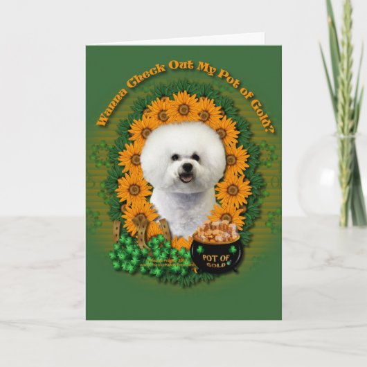 St. Patricks - Goldschatz - Bichon Frise Karte (Vorderseite)
