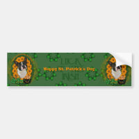 St. Patricks - Goldschatz - Boston Terrier