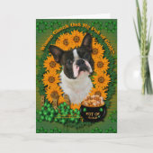 St. Patricks - Goldschatz - Boston Terrier Karte (Vorderseite)