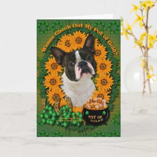 St. Patricks - Goldschatz - Boston Terrier Karte (Gelbe Blume)