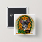 St. Patricks - Goldschatz - Chihuahua - Isabella Button (Vorne & Hinten)