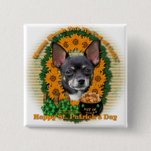 St. Patricks - Goldschatz - Chihuahua - Isabella Button