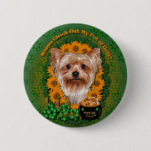 St. Patricks - Goldschatz - Yorkshire Terrier Button (Vorderseite)