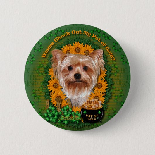 St. Patricks - Goldschatz - Yorkshire Terrier Button (Vorderseite)